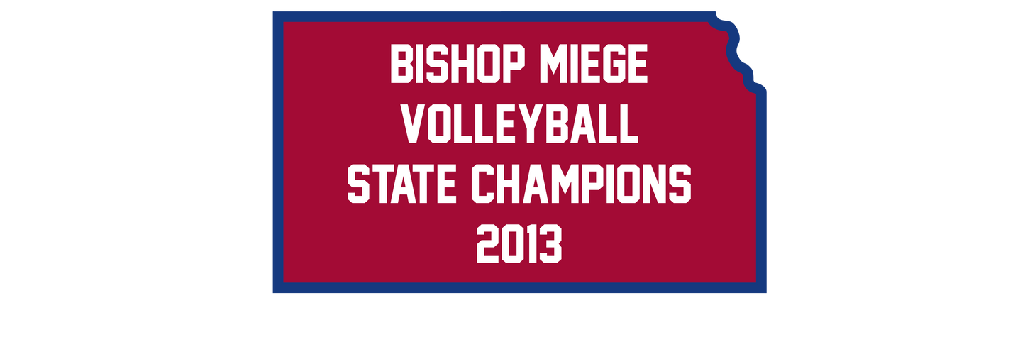 2013 Volleyball State Champions