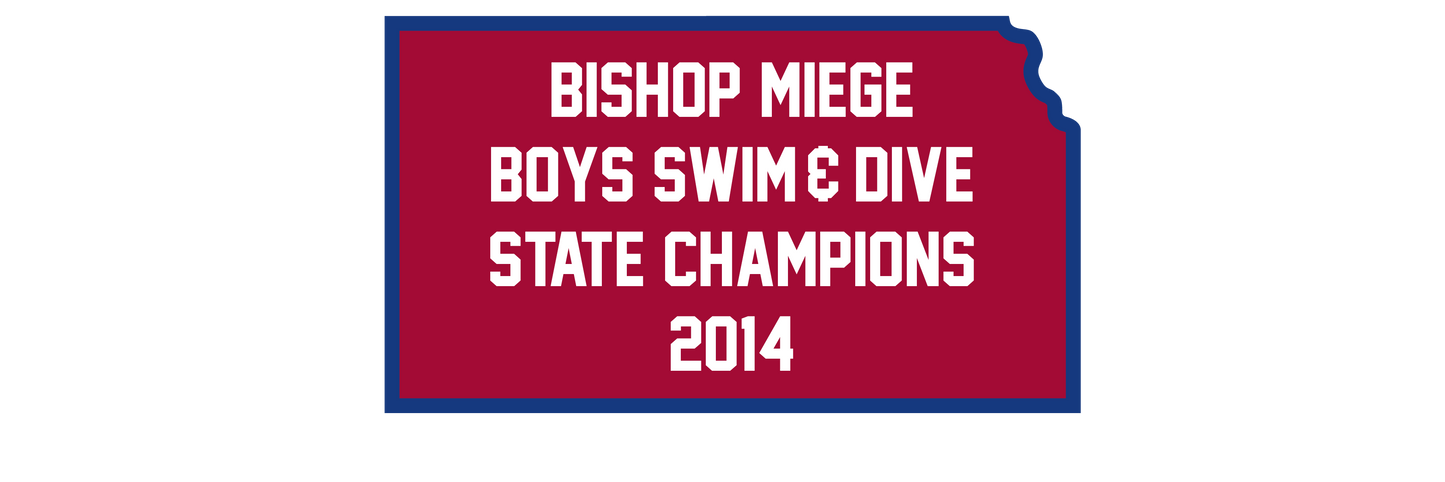 2014 Boys Swim & Dive State Champions