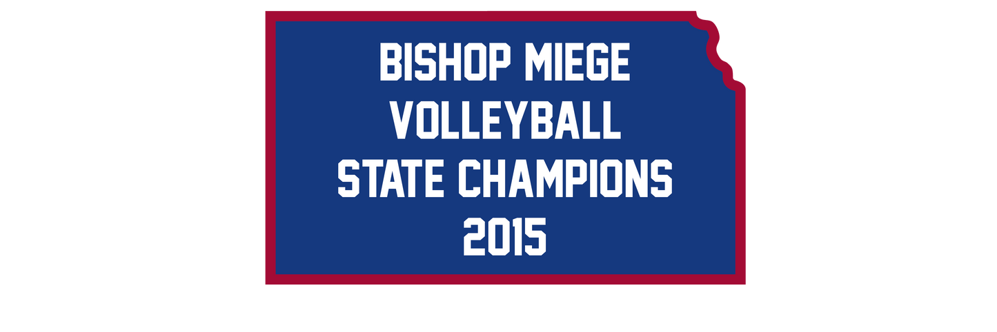 2015 Volleyball State Champions